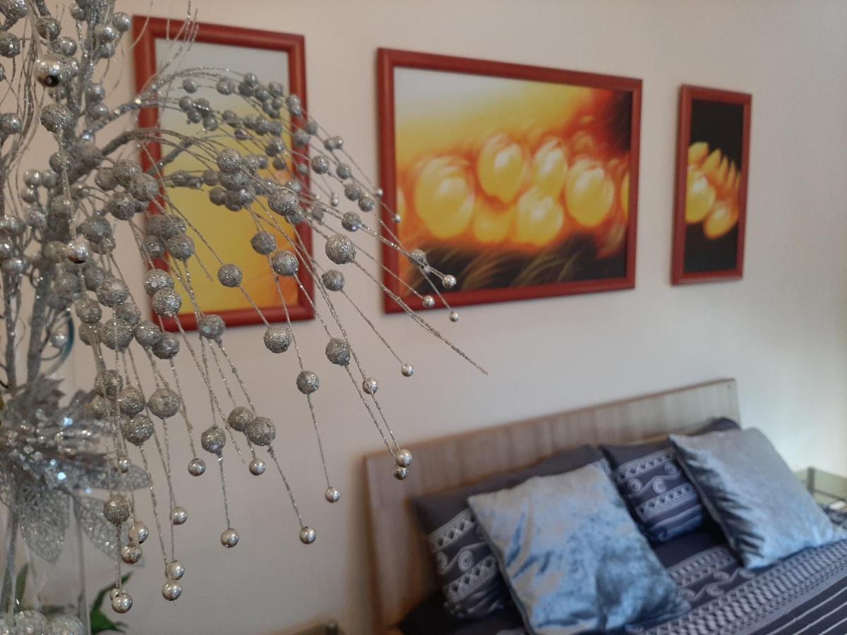 Dr Apartment Νόβι Σαντ Εξωτερικό φωτογραφία