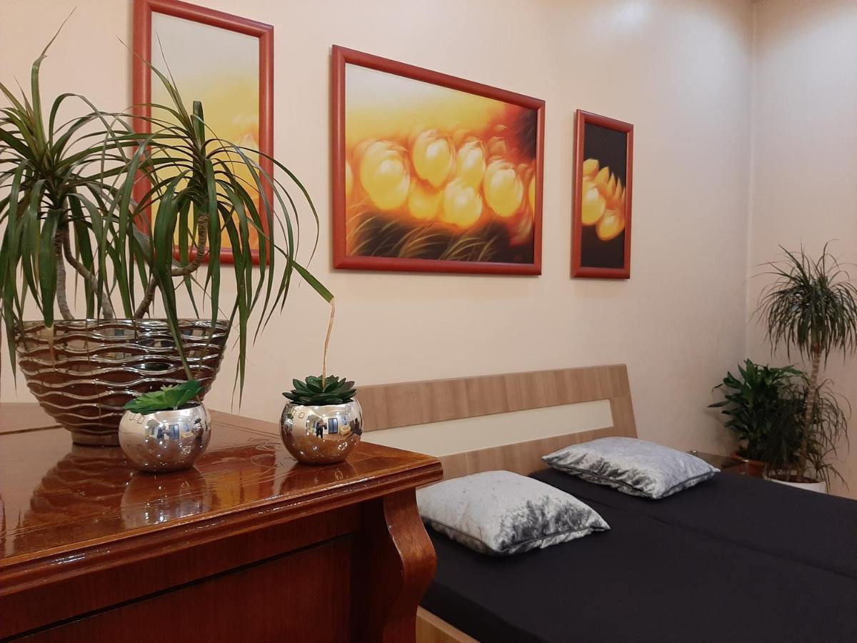 Dr Apartment Νόβι Σαντ Εξωτερικό φωτογραφία