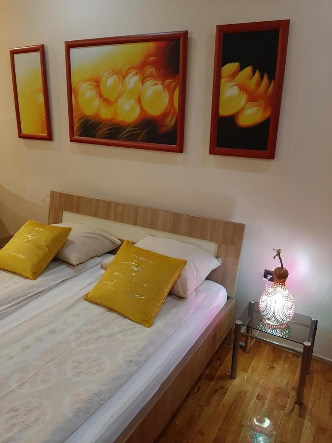 Dr Apartment Νόβι Σαντ Εξωτερικό φωτογραφία