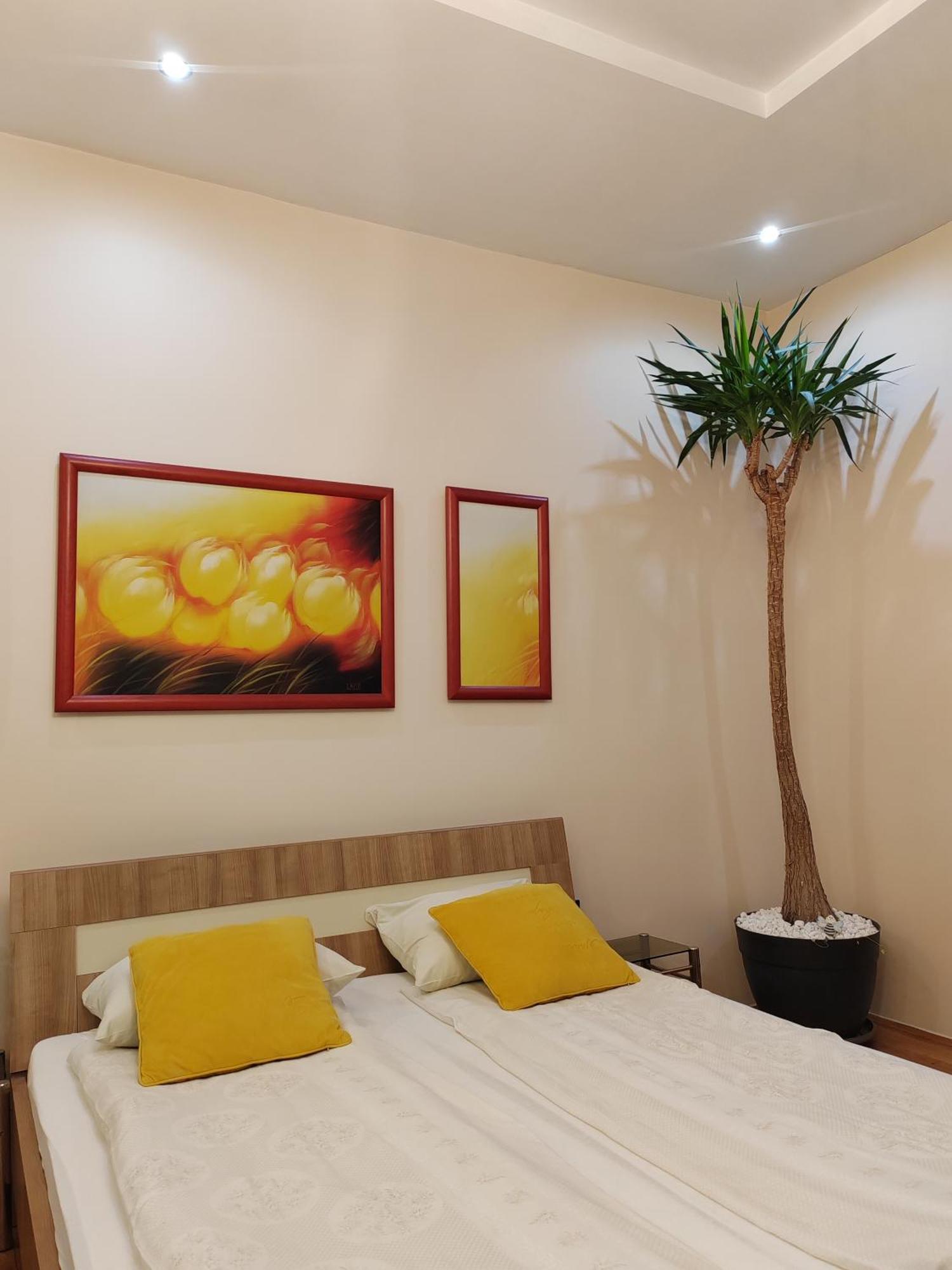 Dr Apartment Νόβι Σαντ Εξωτερικό φωτογραφία