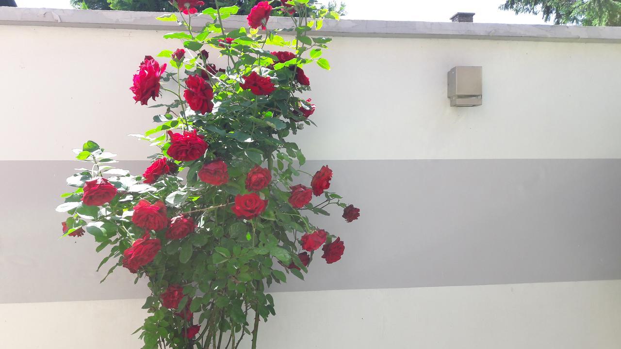 Dr Apartment Νόβι Σαντ Εξωτερικό φωτογραφία